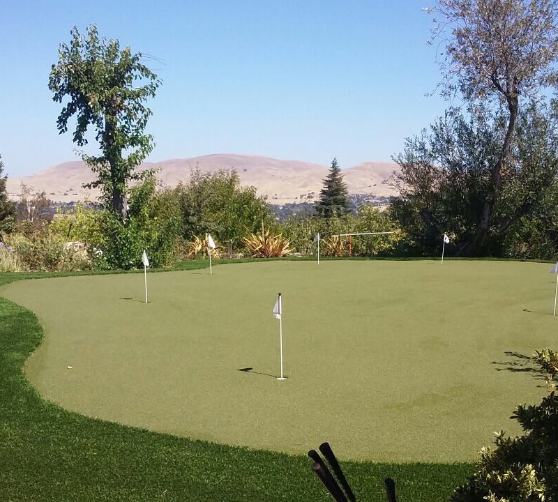 Backyard Putting Green in Phoenix